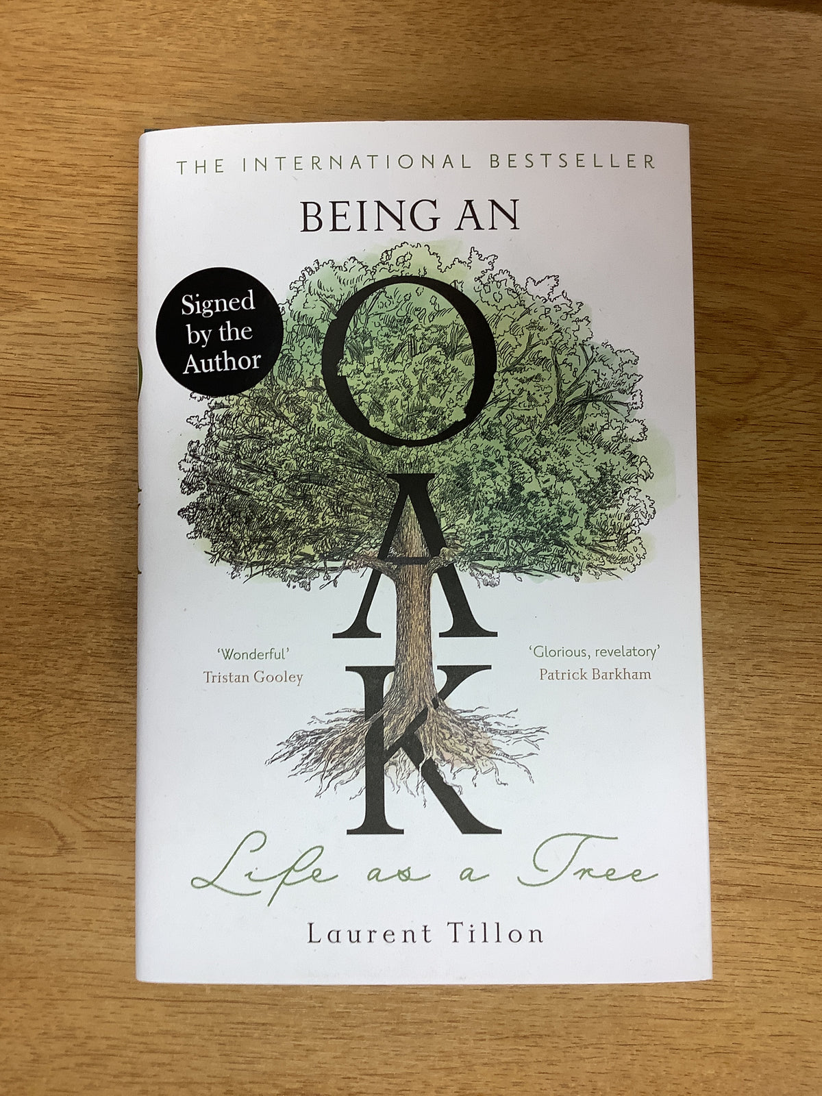 Being an Oak : Life as a tree by Laurent Tillon