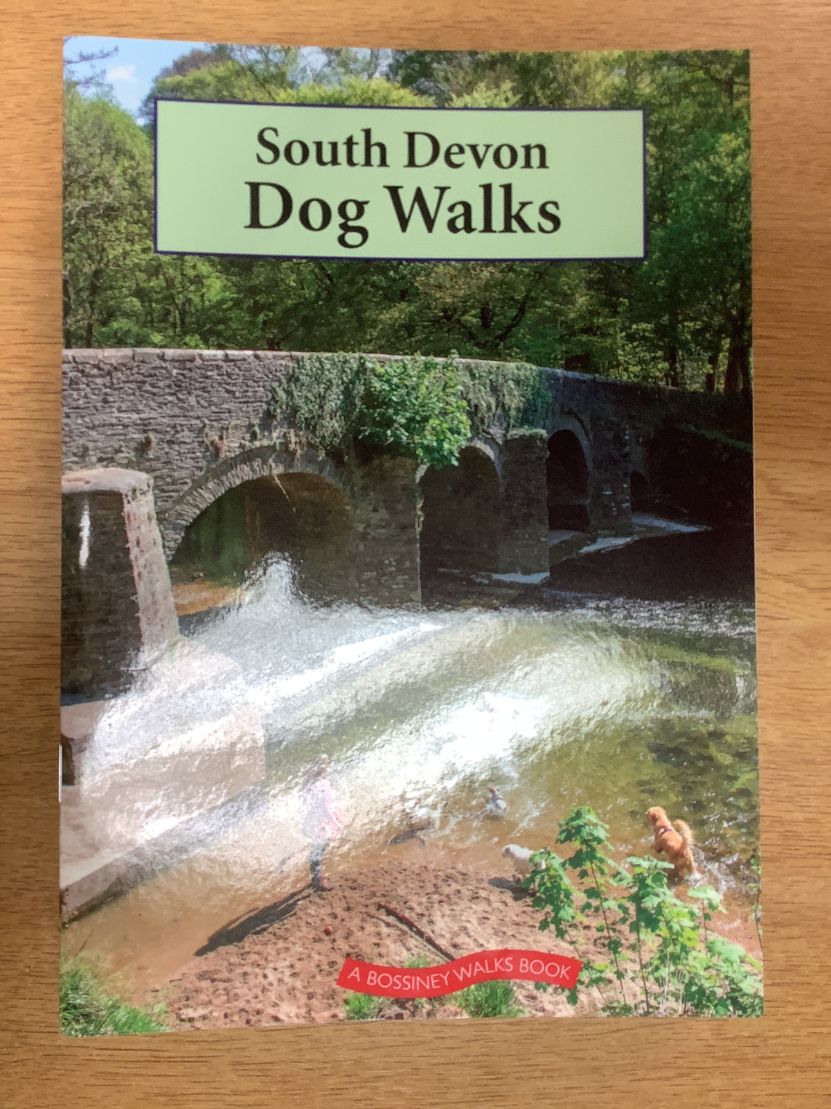 South Devon Dog Walks