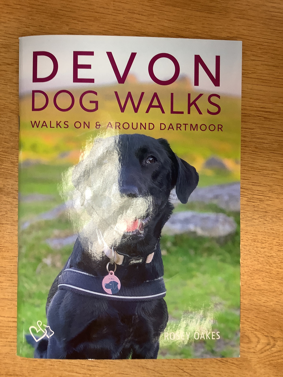 Devon Dog Walks by Rosey Oakes