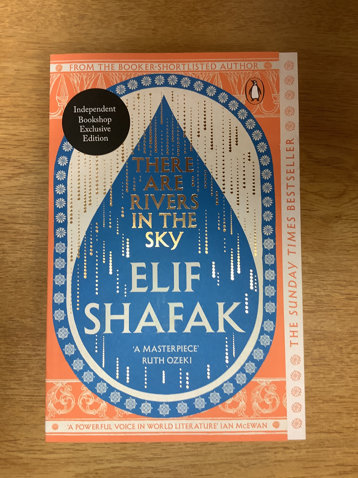 There are Rivers in the Sky by Elif Shafak