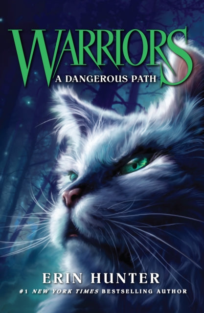 A Dangerous Path : Book 5-9780007140060