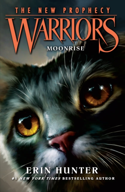 MOONRISE : Book 2-9780007419234