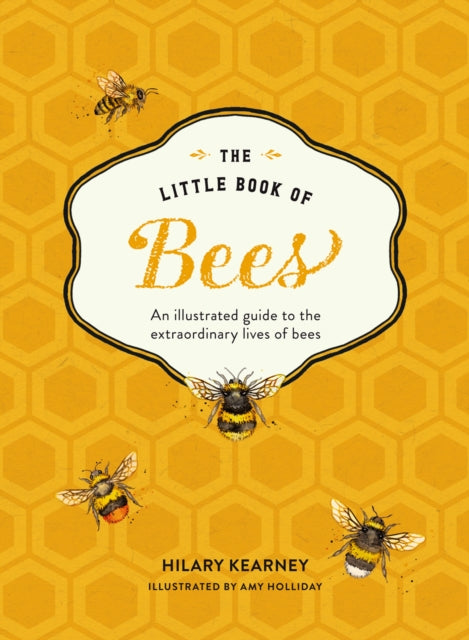 The Little Book of Bees: An illustrated guide to the extraordinary lives of bees - Hilary Kearney