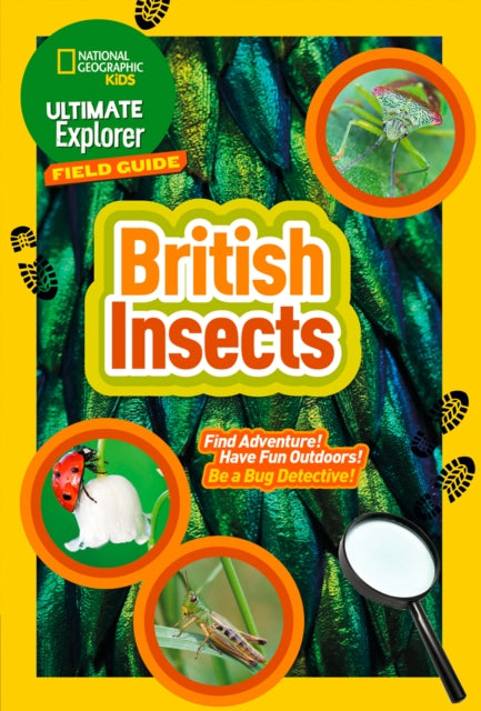 Ultimate Explorer Field Guides British Insects: Find Adventure! Have Fun Outdoors! Be a Bug Detective! (National Geographic Kids) - National Geographic Kids