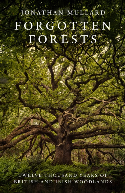 Forgotten Forests : -9780008561048