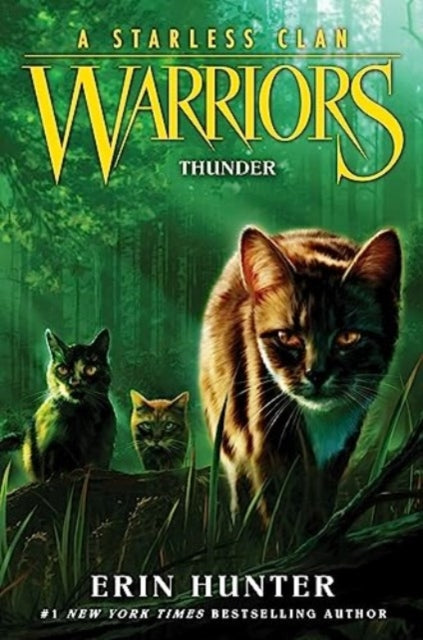 Warriors: A Starless Clan #4: Thunder : 4-9780063050273