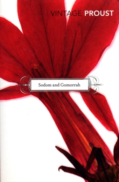 In Search of Lost Time, Vol 4: Sodom and Gomorrah - Marcel Proust