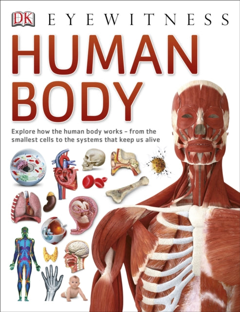 Human Body - DK