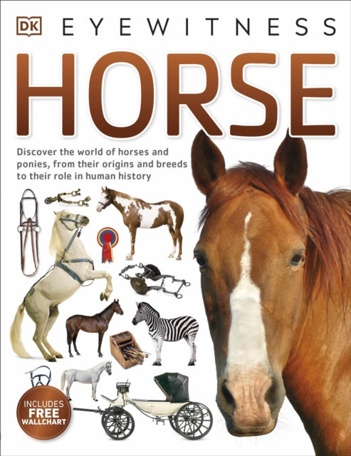 Horse-9780241258859