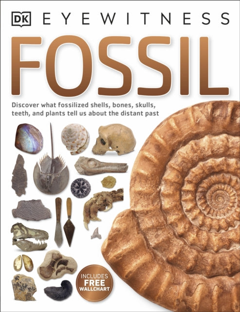 Fossil - DK