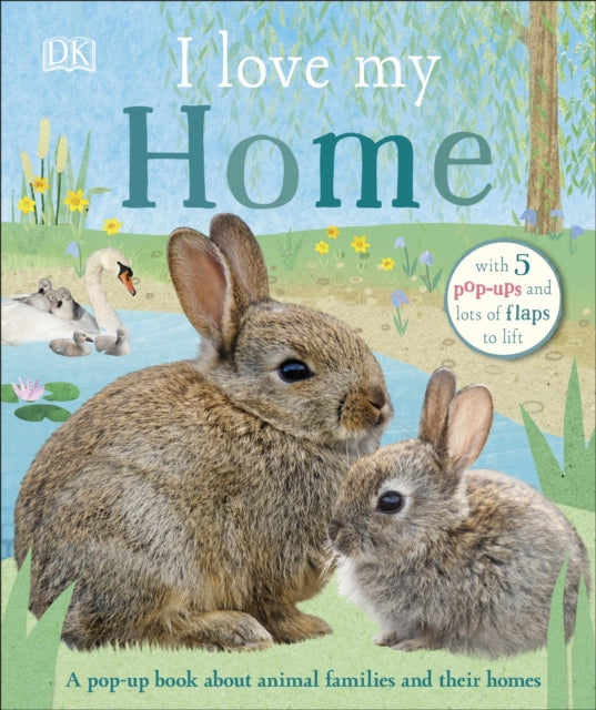 I Love My Home: A pop-up book about animal families and their homes - DK