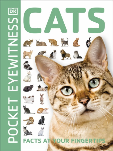 Cats : Facts at Your Fingertips-9780241413012