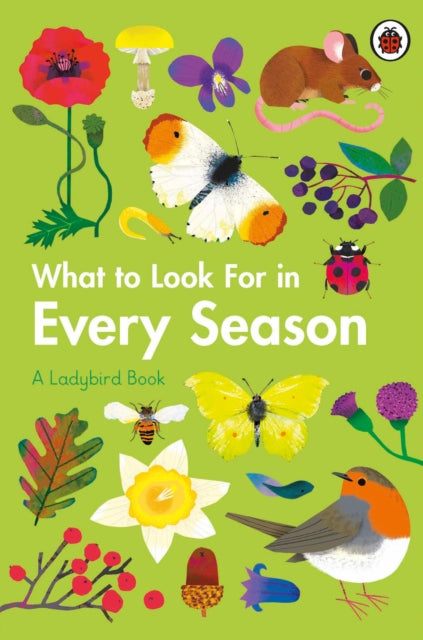 What to Look For in Every Season: A Ladybird Book Boxset - Elizabeth Jenner