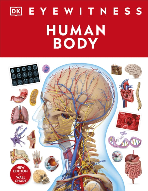 Human Body-9780241617175
