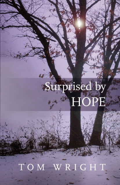 Surprised by Hope : Rethinking heaven, the resurrection and the mission of the Church-9780281064779