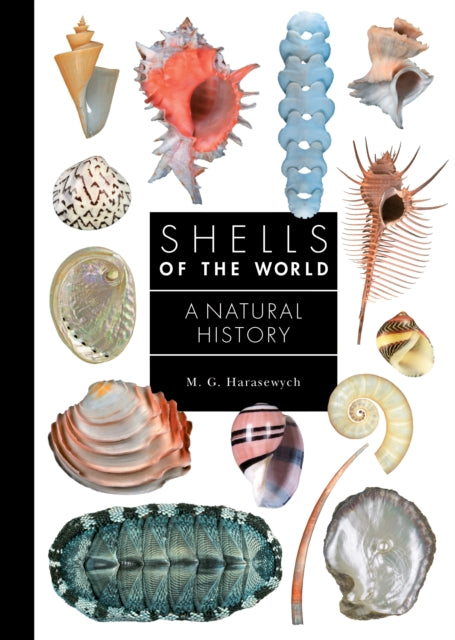 Shells of the World : A Natural History-9780691248271