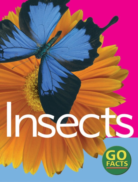 Insects - Katy Pike