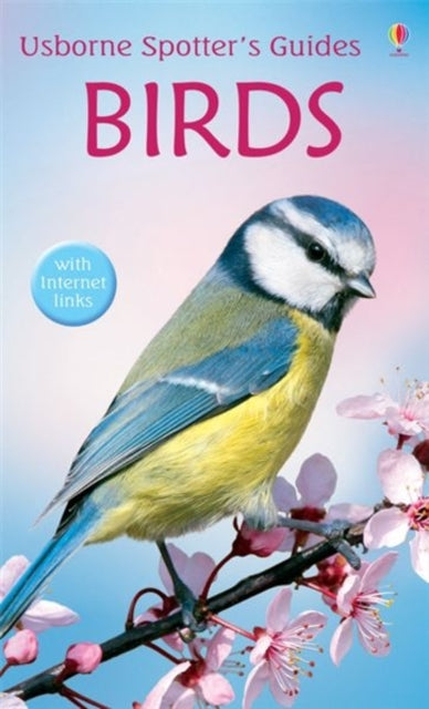 Birds -