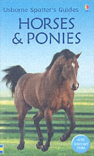 Horses And Ponies-9780746073599