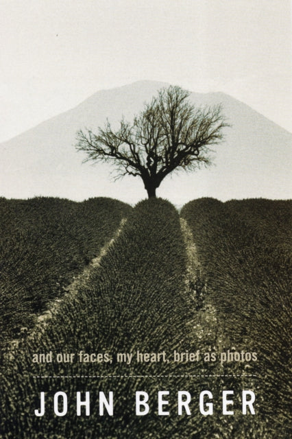 And Our Faces, My Heart, Brief as Photos-9780747576914
