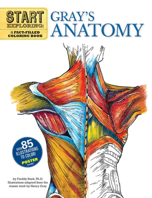 Start Exploring: Gray's Anatomy : A Fact-Filled Coloring Book-9780762440733