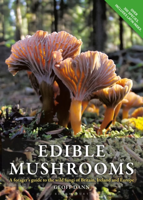 Edible Mushrooms : A forager's guide to the wild fungi of Britain, Ireland and Europe-9780857843975