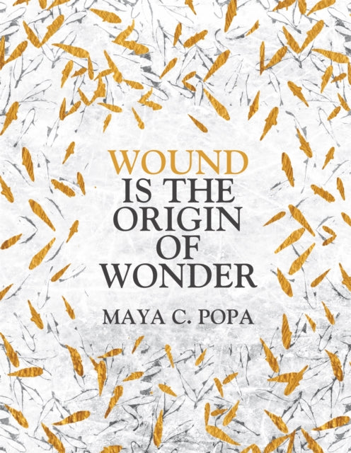 Wound is the Origin of Wonder-9781035017386