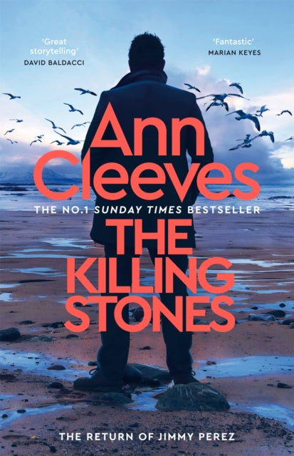 The Killing Stones-9781035043095