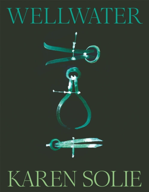 Wellwater-9781035048182