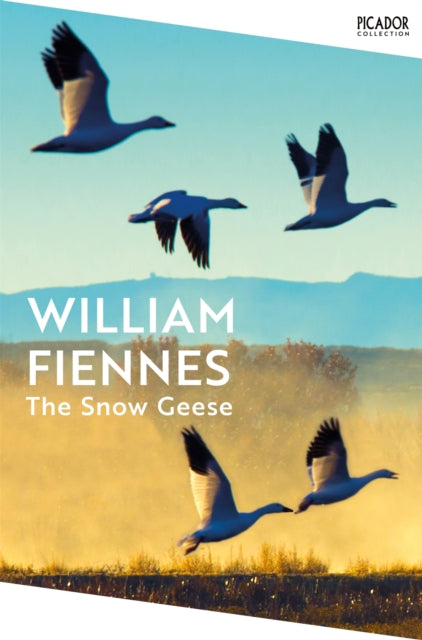 The Snow Geese-9781035065233