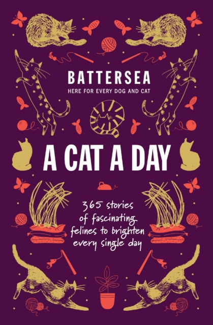 Battersea Dogs and Cats Home - A Cat a Day : 365 stories of fascinating felines to brighten every day-9781035425549
