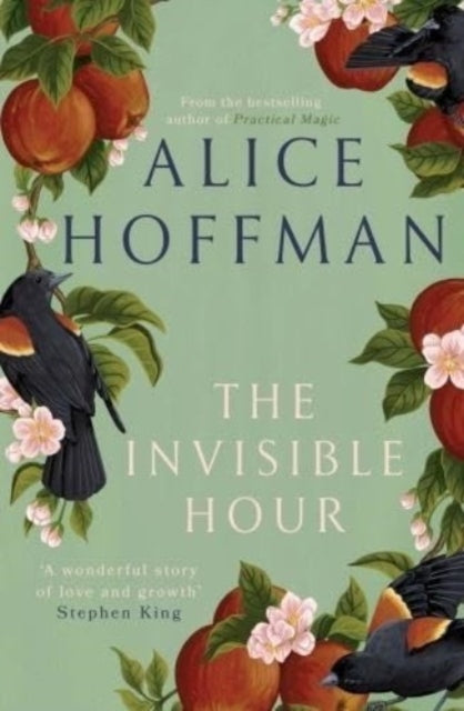 The Invisible Hour-9781398526211