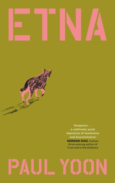 Etna : 'Devastating and gorgeous' New York Times-9781398559202
