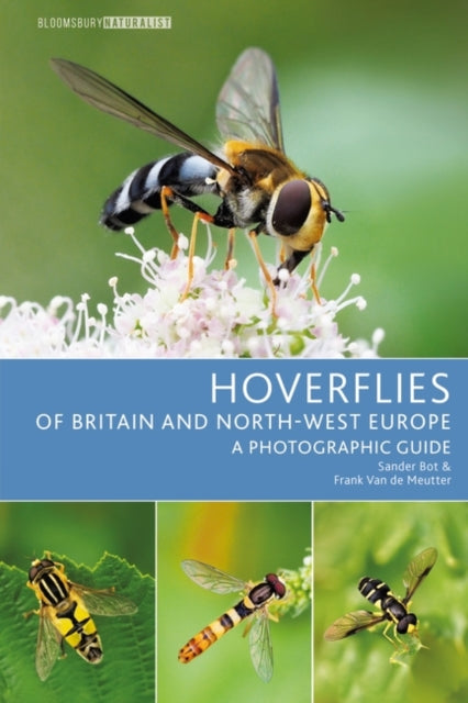 Hoverflies of Britain and North-west Europe : A photographic guide-9781399402453