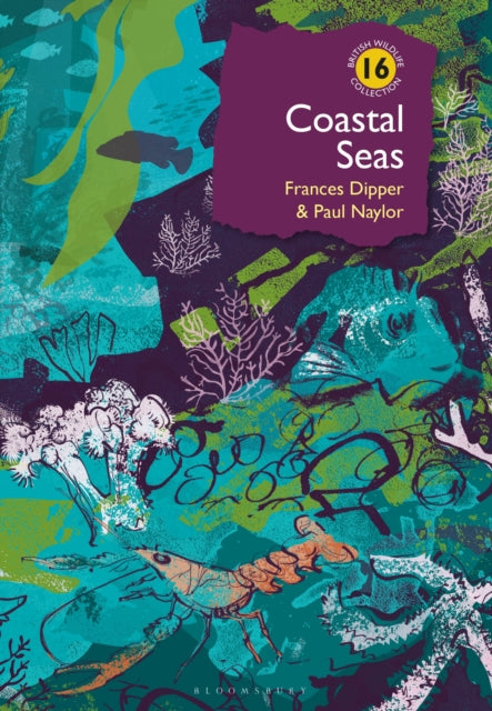 Coastal Seas-9781399404761