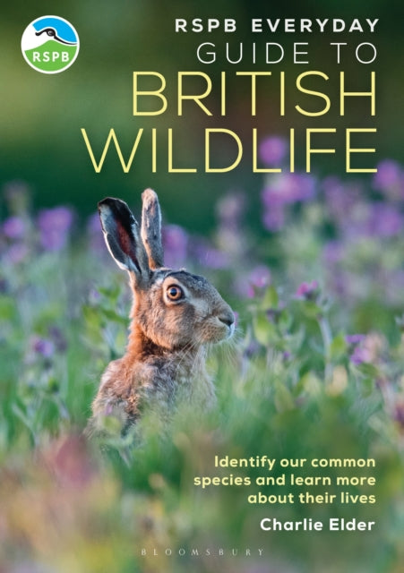 RSPB Everyday Guide to British Wildlife : -9781399413329