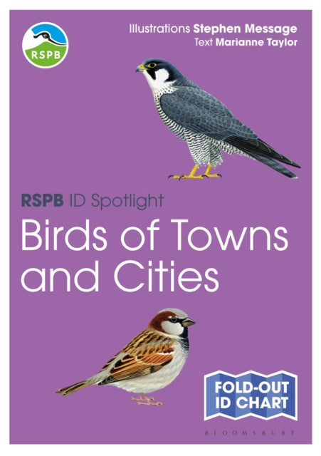 RSPB ID Spotlight - Birds of Towns and Cities-9781399419093