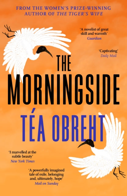 The Morningside : Longlisted for the Climate Fiction Prize-9781399619912