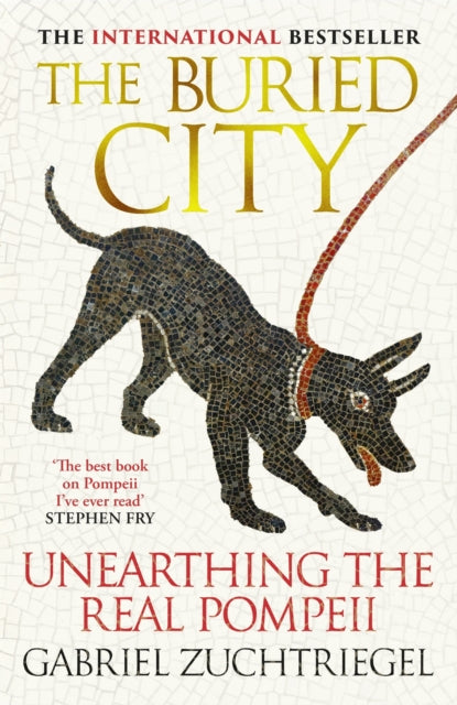 The Buried City : -9781399731171