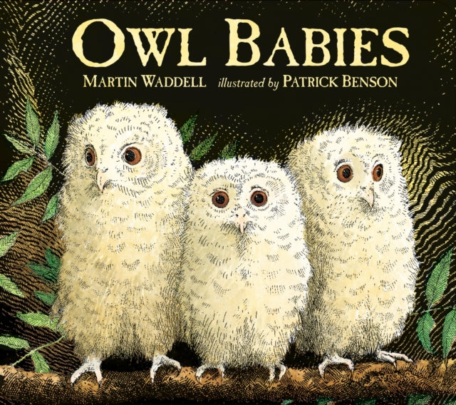 Owl Babies-9781406374377
