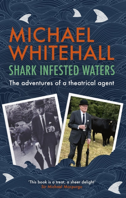 Shark-Infested Waters-9781408722909