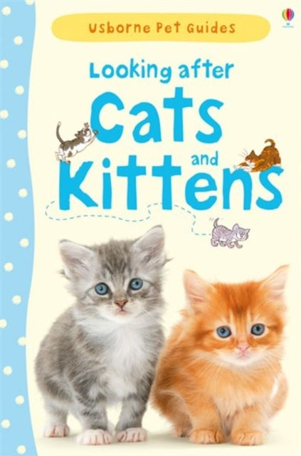 Looking after Cats and Kittens-9781409532422