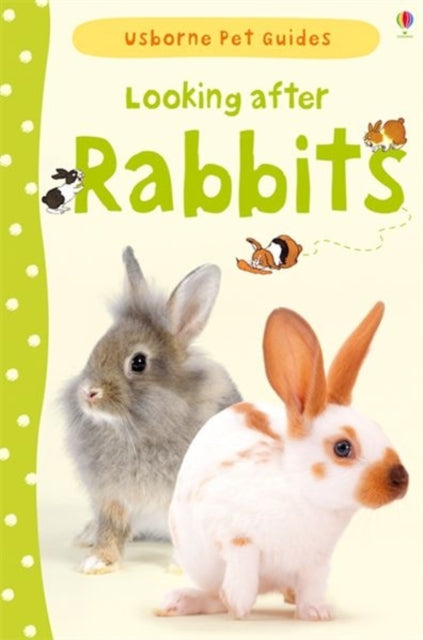 Looking after Rabbits-9781409532439