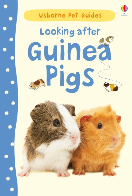 Looking after Guinea Pigs-9781409561880