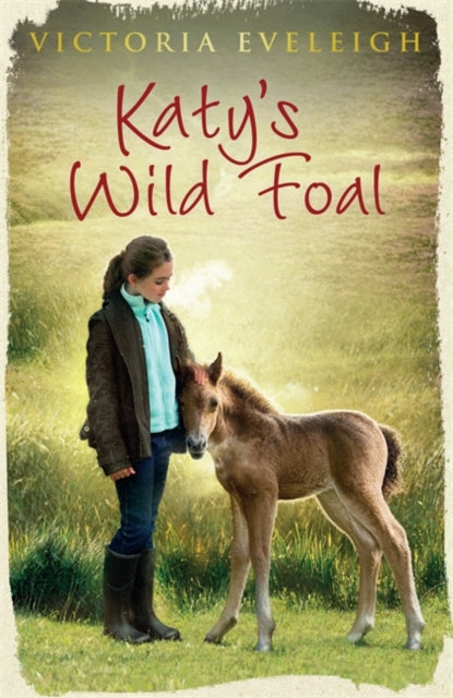 Katy's Exmoor Ponies: Katy's Wild Foal : Book 1-9781444005417