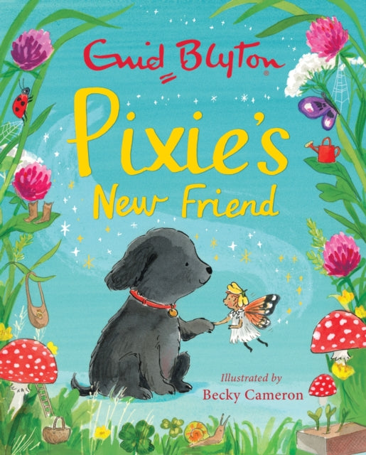 Pixie's New Friend-9781444949513