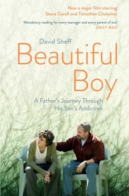 Beautiful Boy : A Father's Journey Through His Son's  Addiction-9781471177934