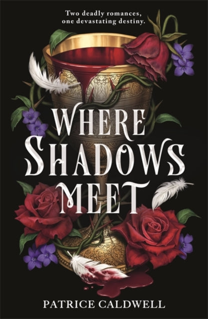 Where Shadows Meet-9781471411861