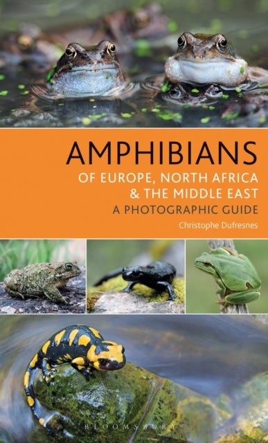 Amphibians of Europe, North Africa and the Middle East : A Photographic Guide-9781472941374