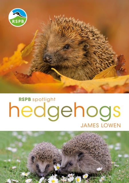 RSPB Spotlight Hedgehogs-9781472950086